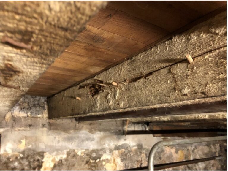 L'expertise de l'état parasitaire d'une maison permet de rassurer acheteurs et vendeurs