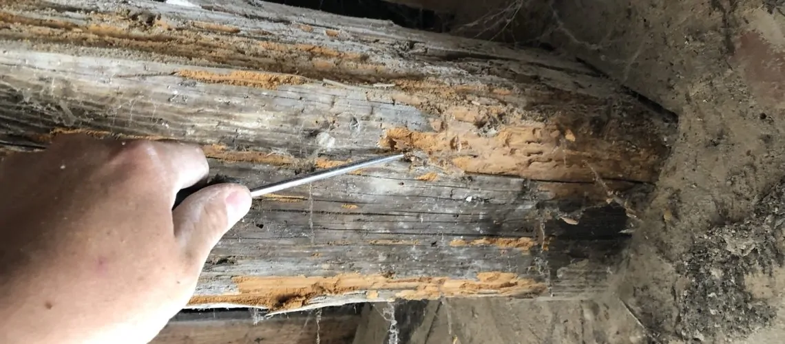 Notre expert bois a été sollicité en tant que sapiteur par un expert judiciaire